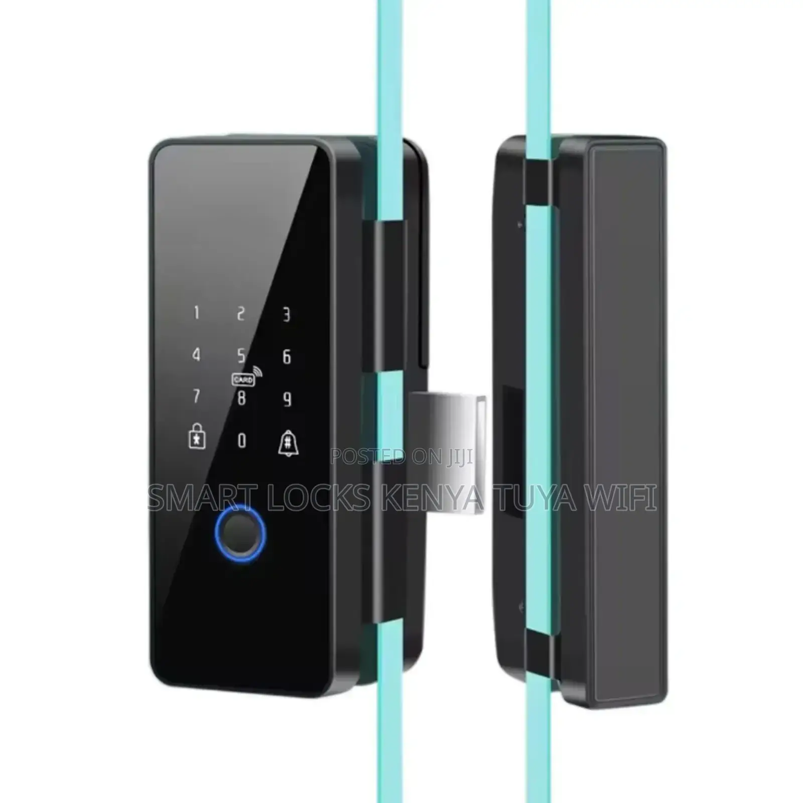 Biometric Smart Glass Door Lock