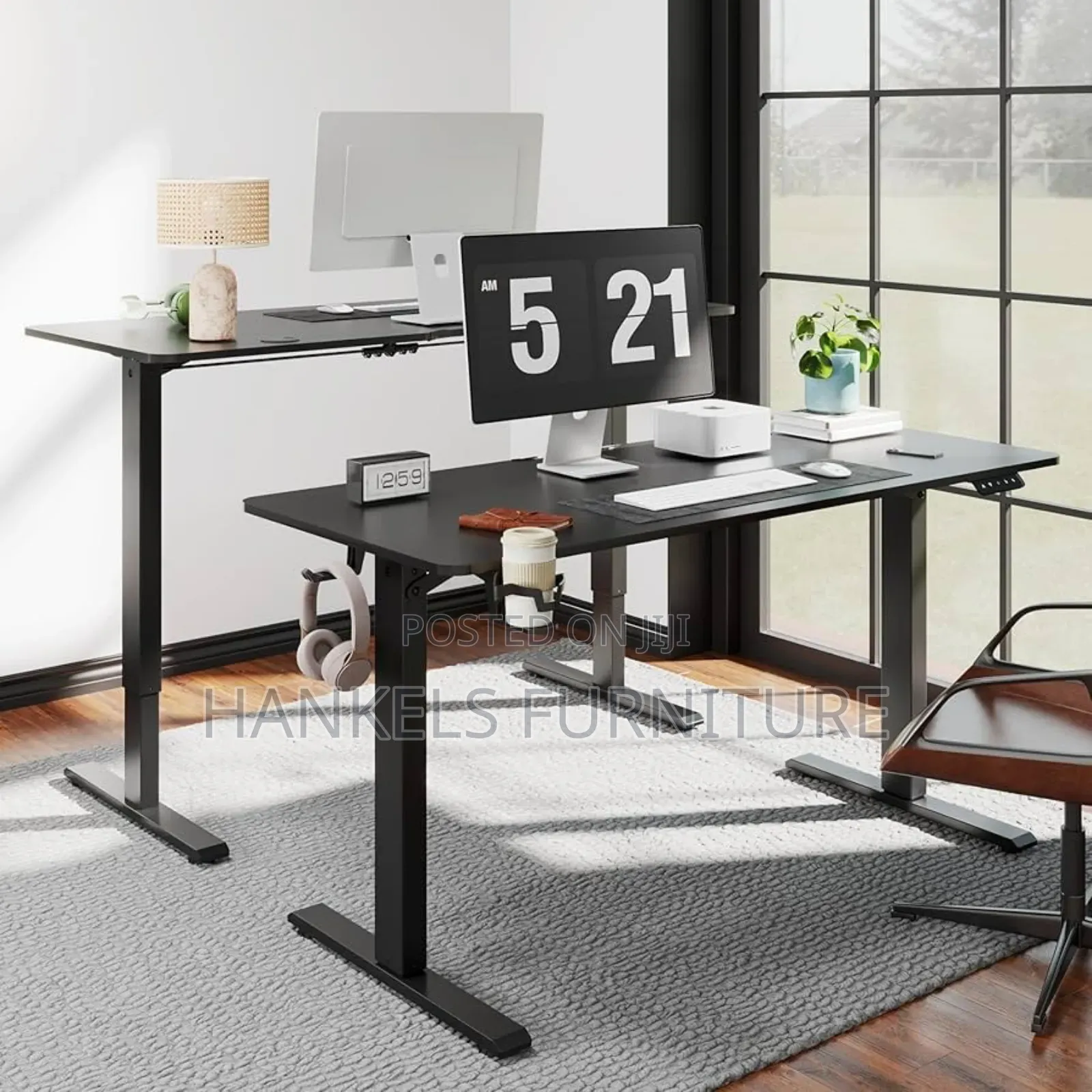 Agilestic Electric Standing Desk Electric Adjustable Desk