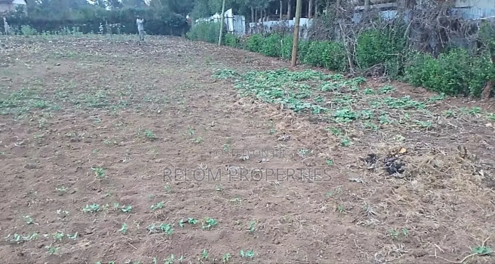 Prime 1.3-Acre Marrum Plot of Land for Sale in Karen