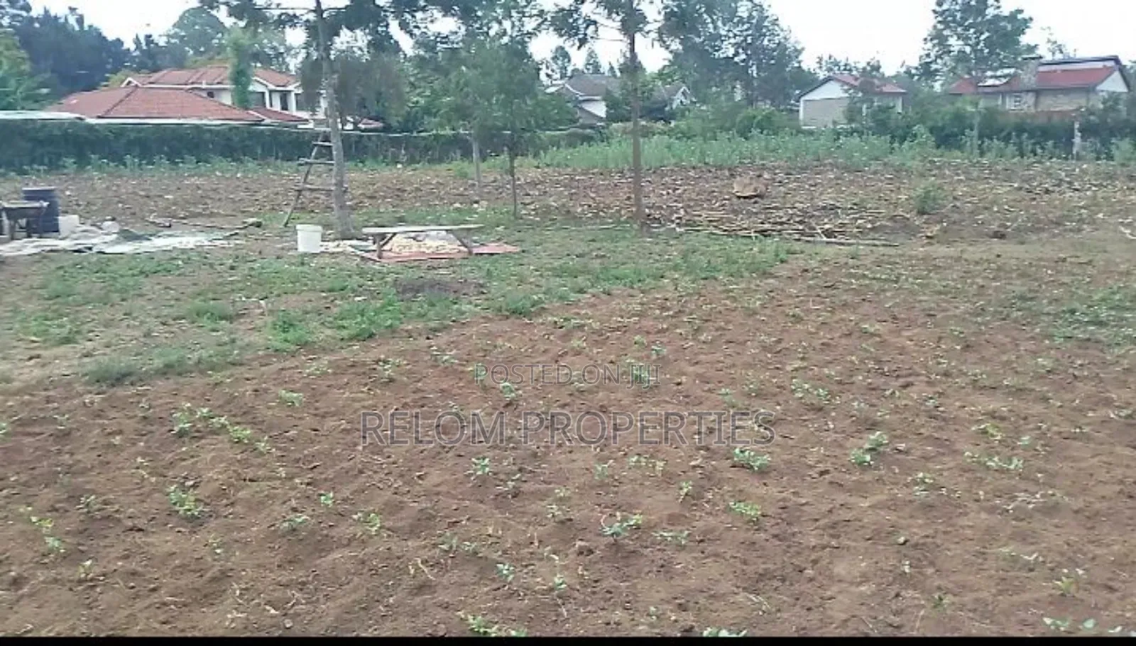 Prime 1.3-Acre Marrum Plot of Land for Sale in Karen