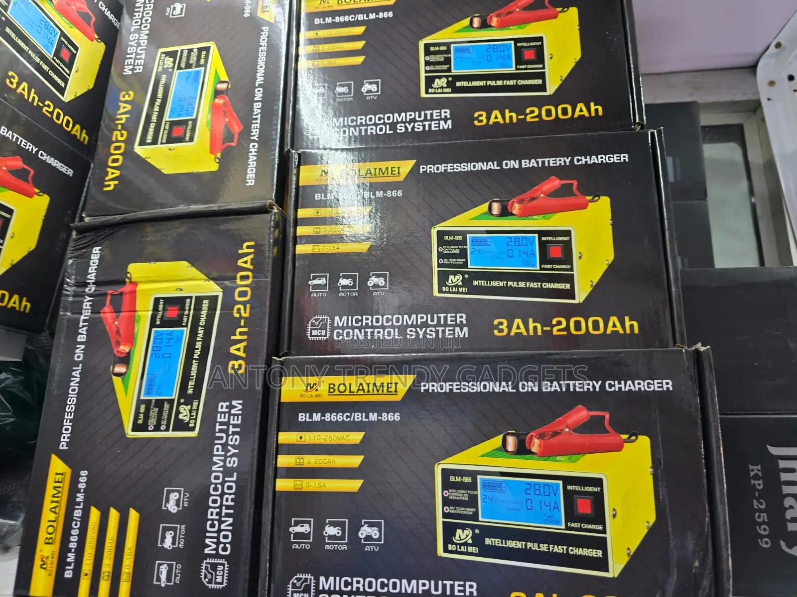 Intelligent Bolaimei 12v/24v Lead Acid Car Battery Charger 10a