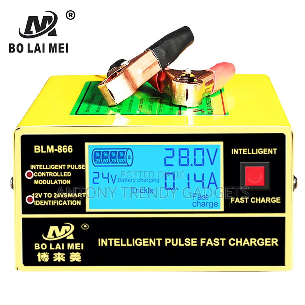 Bolaimei 12v/24v Auto Battery Charger For Lead Acid Batteries