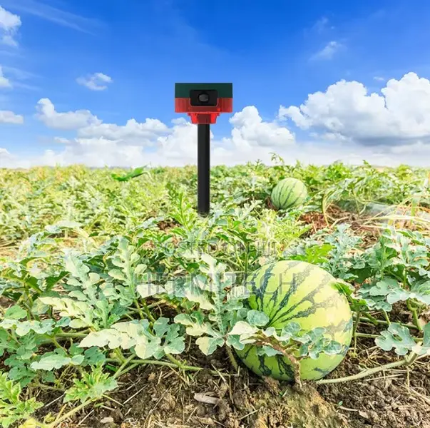 Wireless Solar Rf Remote Alarm Siren Solar Animal Repeller