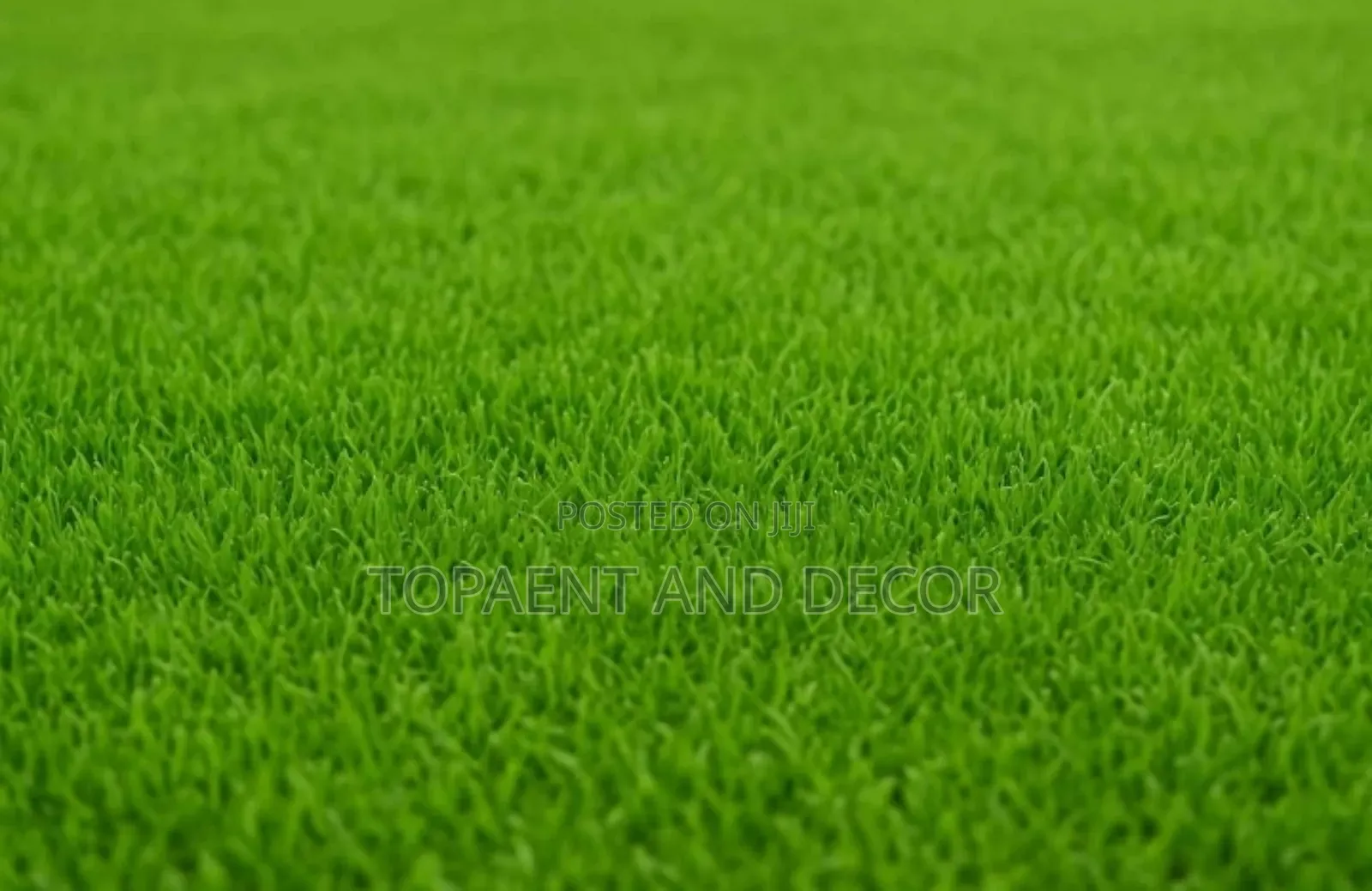 40mm High Quality Turf Grass Carpet for Landscaping