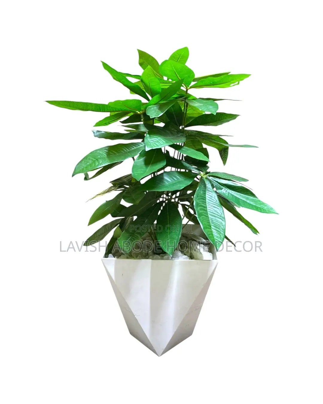 Beautiful Artificial Plant in a White Plant Pot - All Inclusive