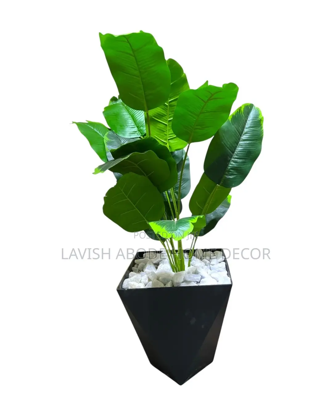Artificial Banana Plant in a Black Hexagon Plant Pot