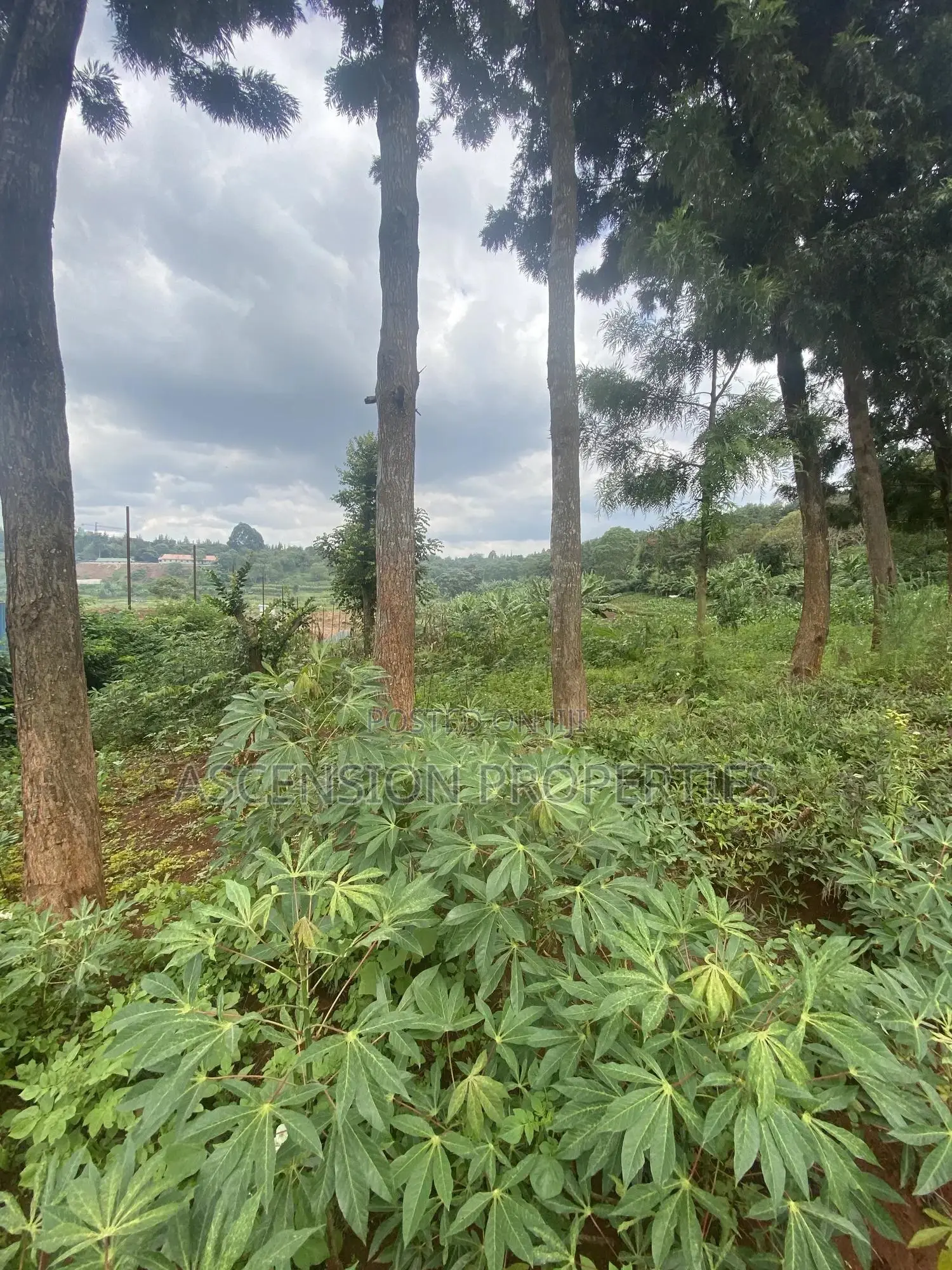 New Loresho 3.5 Acres Near Vet Lab
