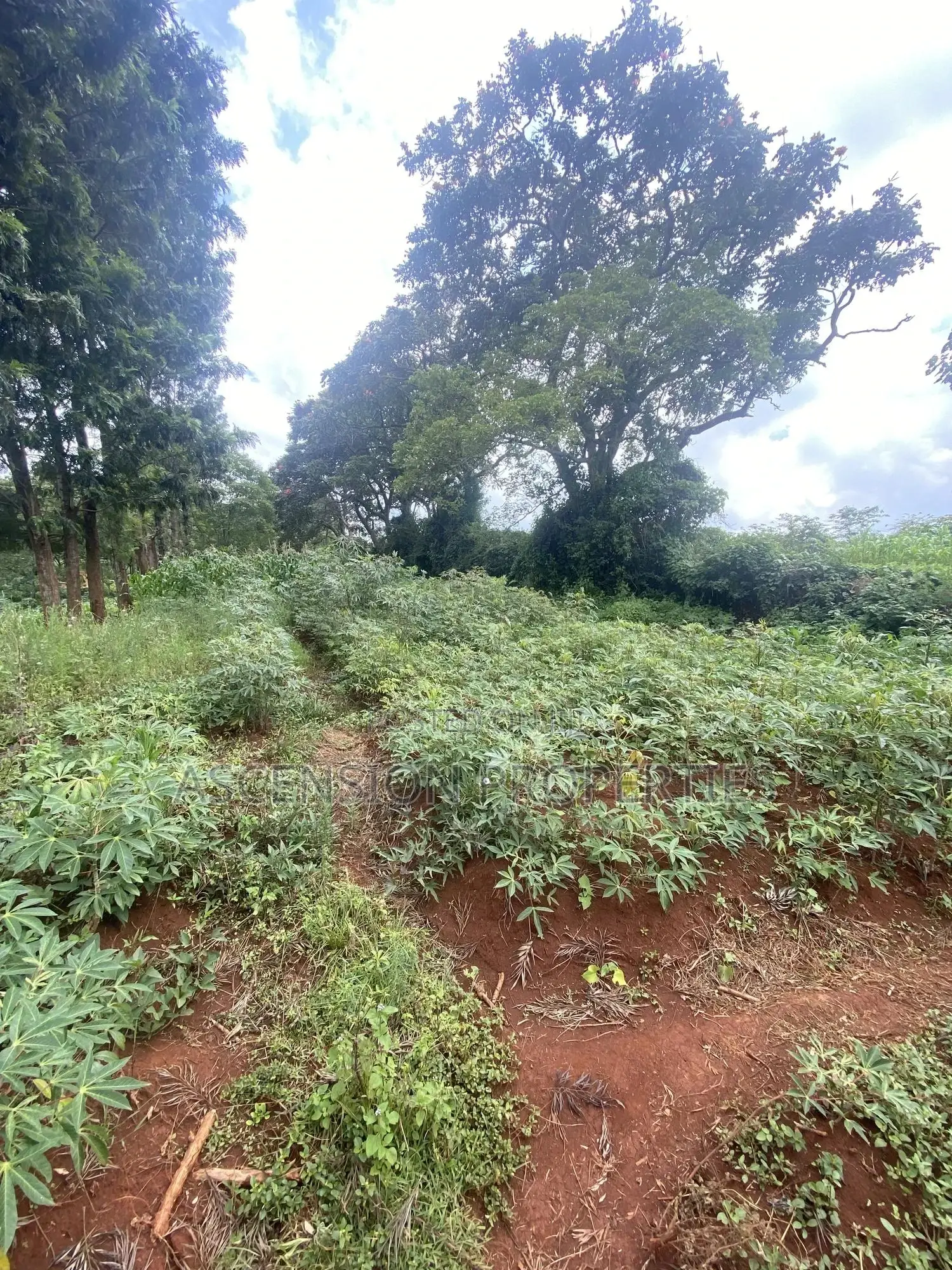 New Loresho 3.5 Acres Near Vet Lab