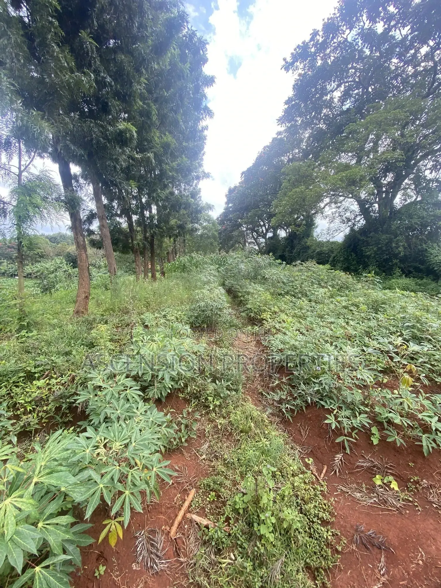 New Loresho 3.5 Acres Near Vet Lab
