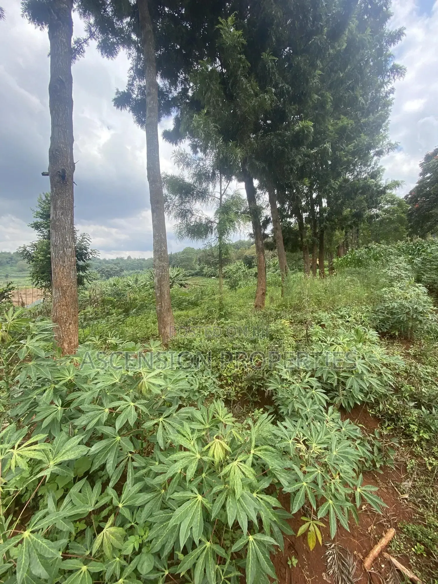 New Loresho 3.5 Acres Near Vet Lab