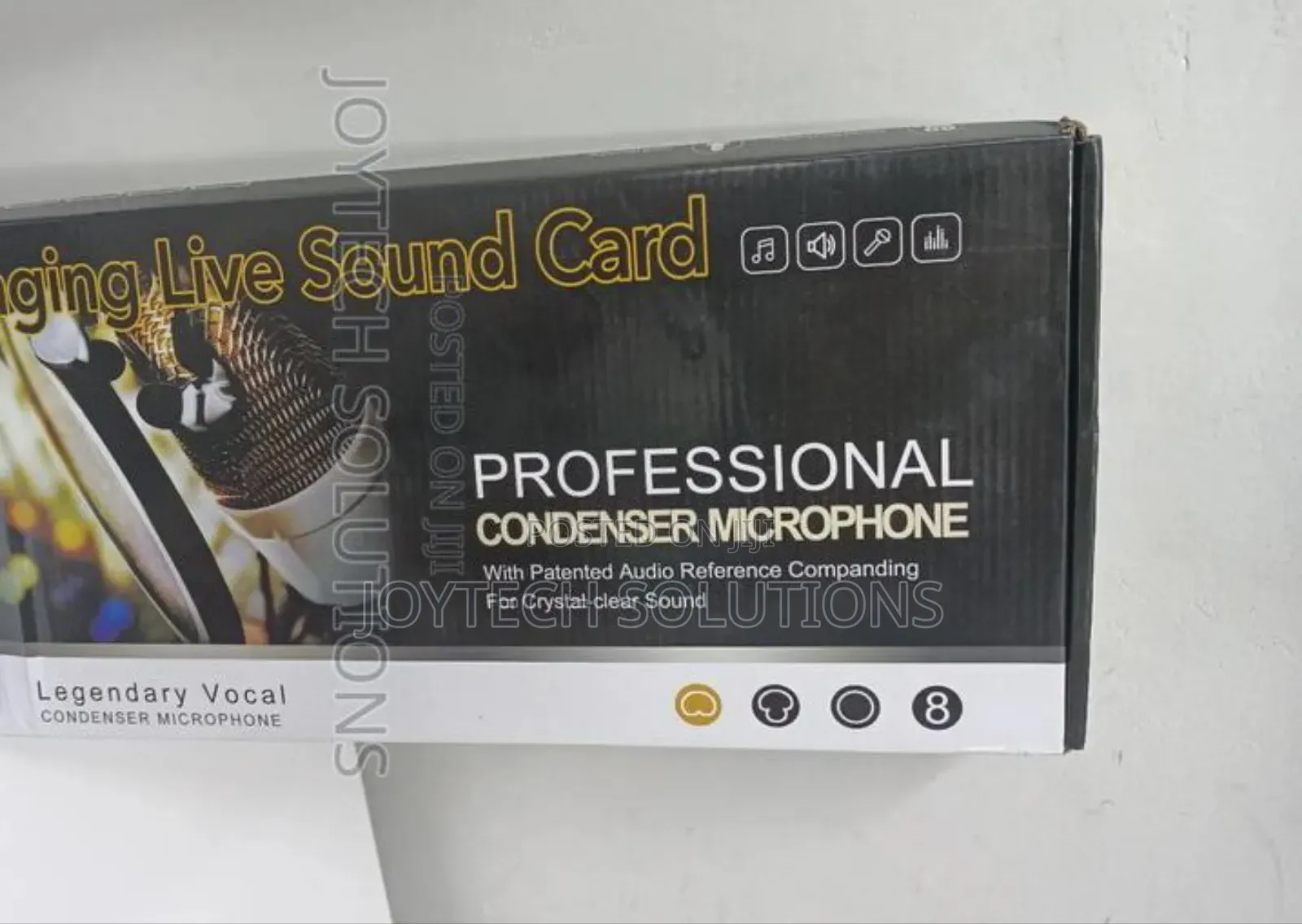 Stage Microphone Karaoke Mic