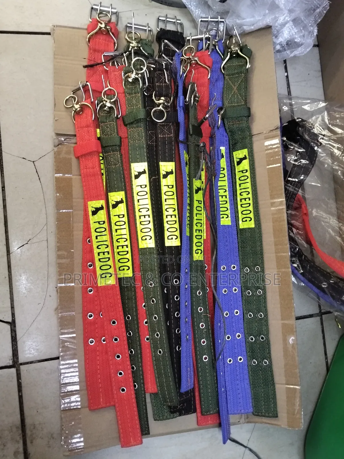 Dog Collar Available
