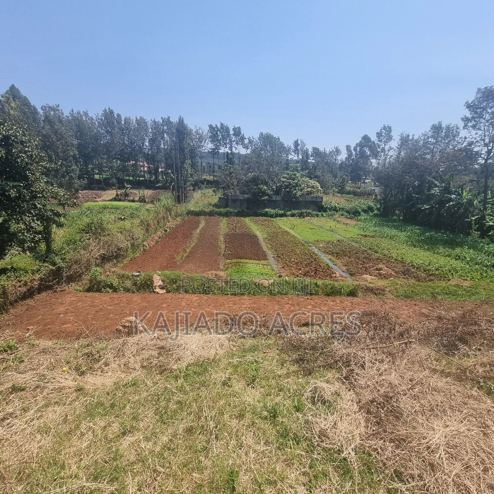 1/2 Acre Rhino Park Road at 40m