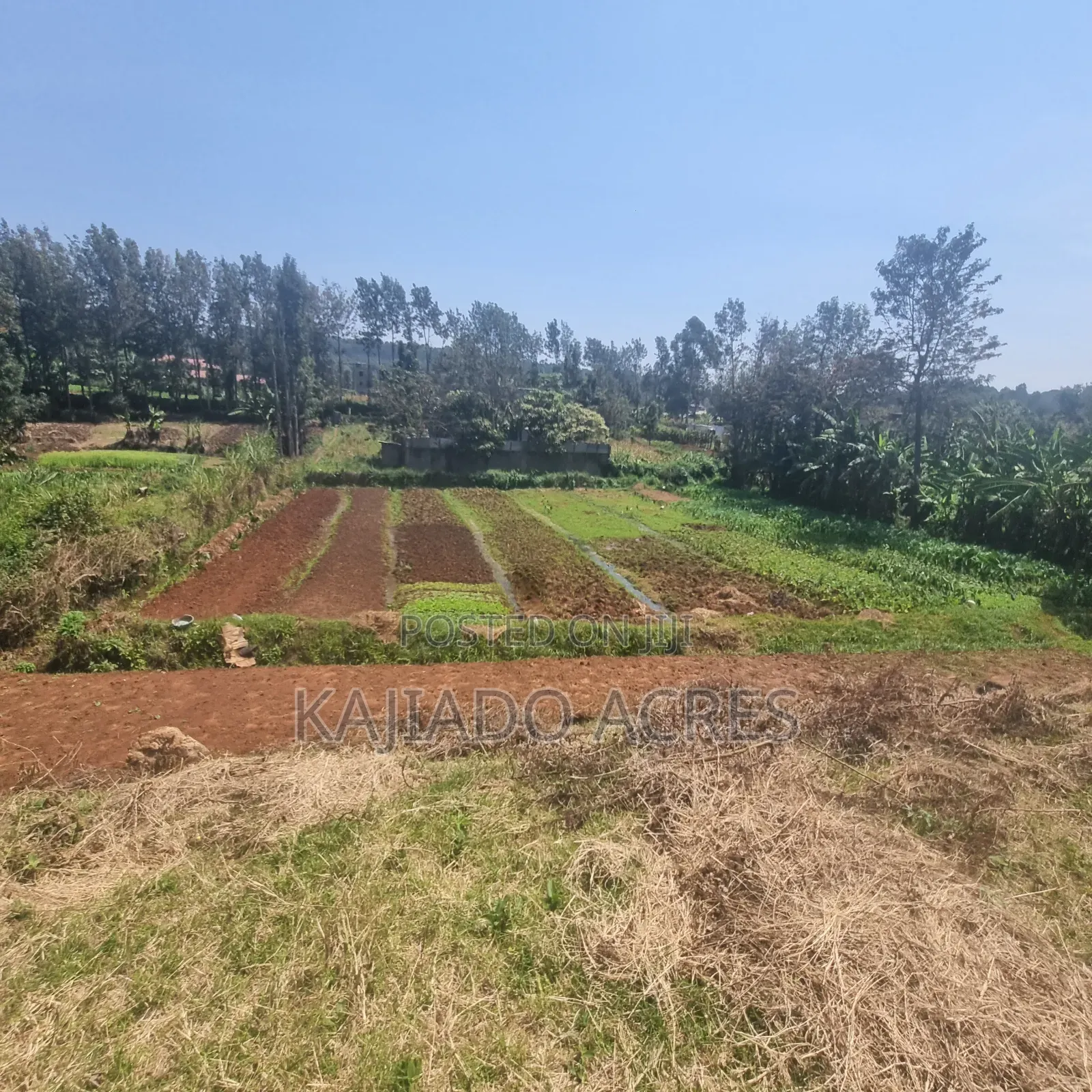 1/2 Acre Rhino Park Road at 40m
