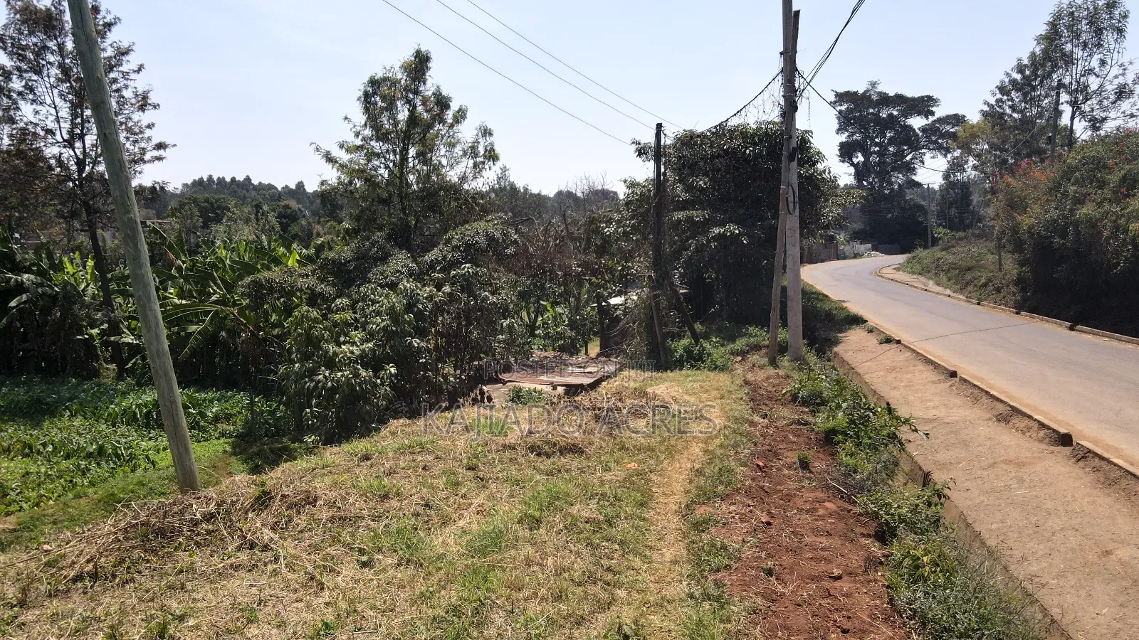 1/2 Acre Rhino Park Road at 40m