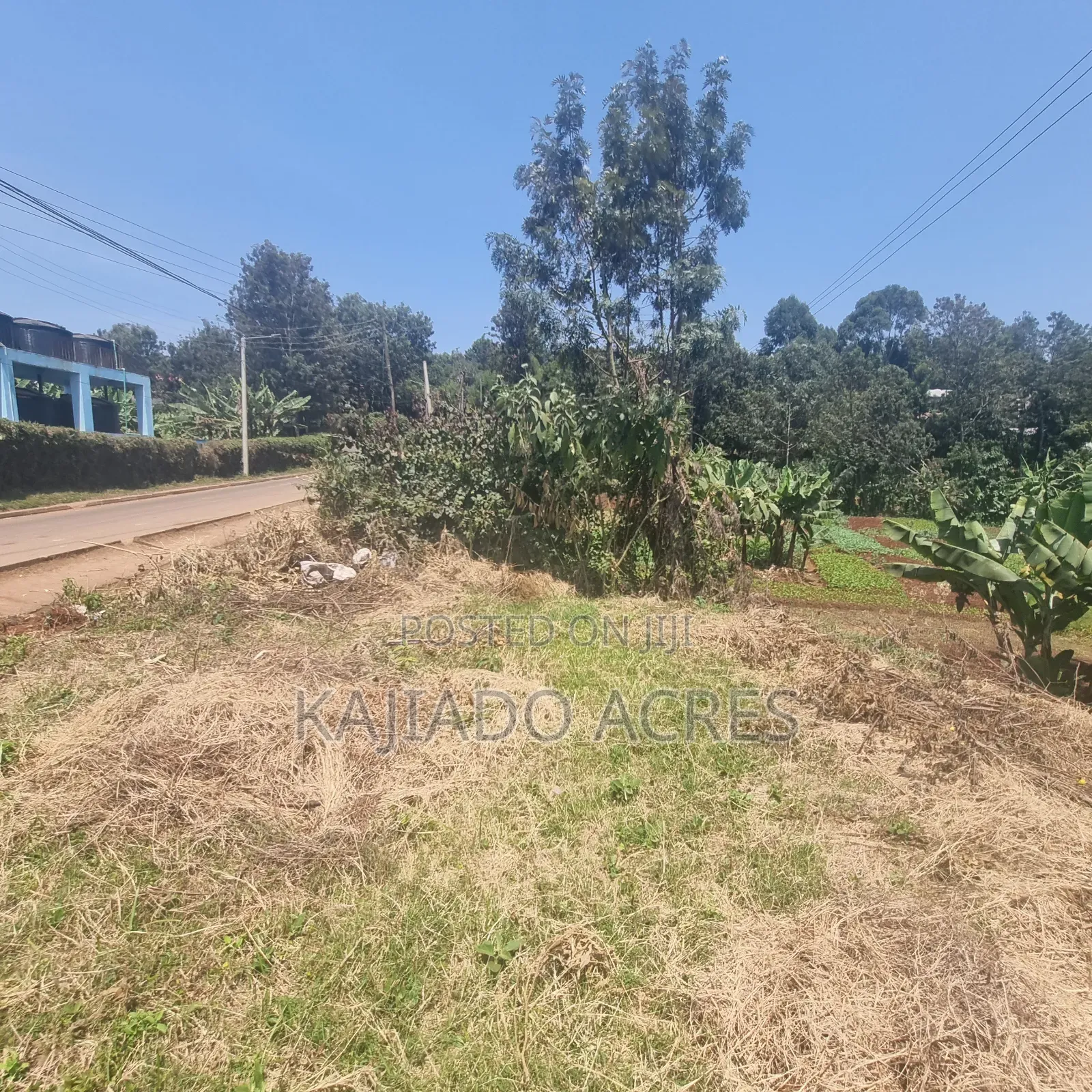 1/2 Acre Rhino Park Road at 40m
