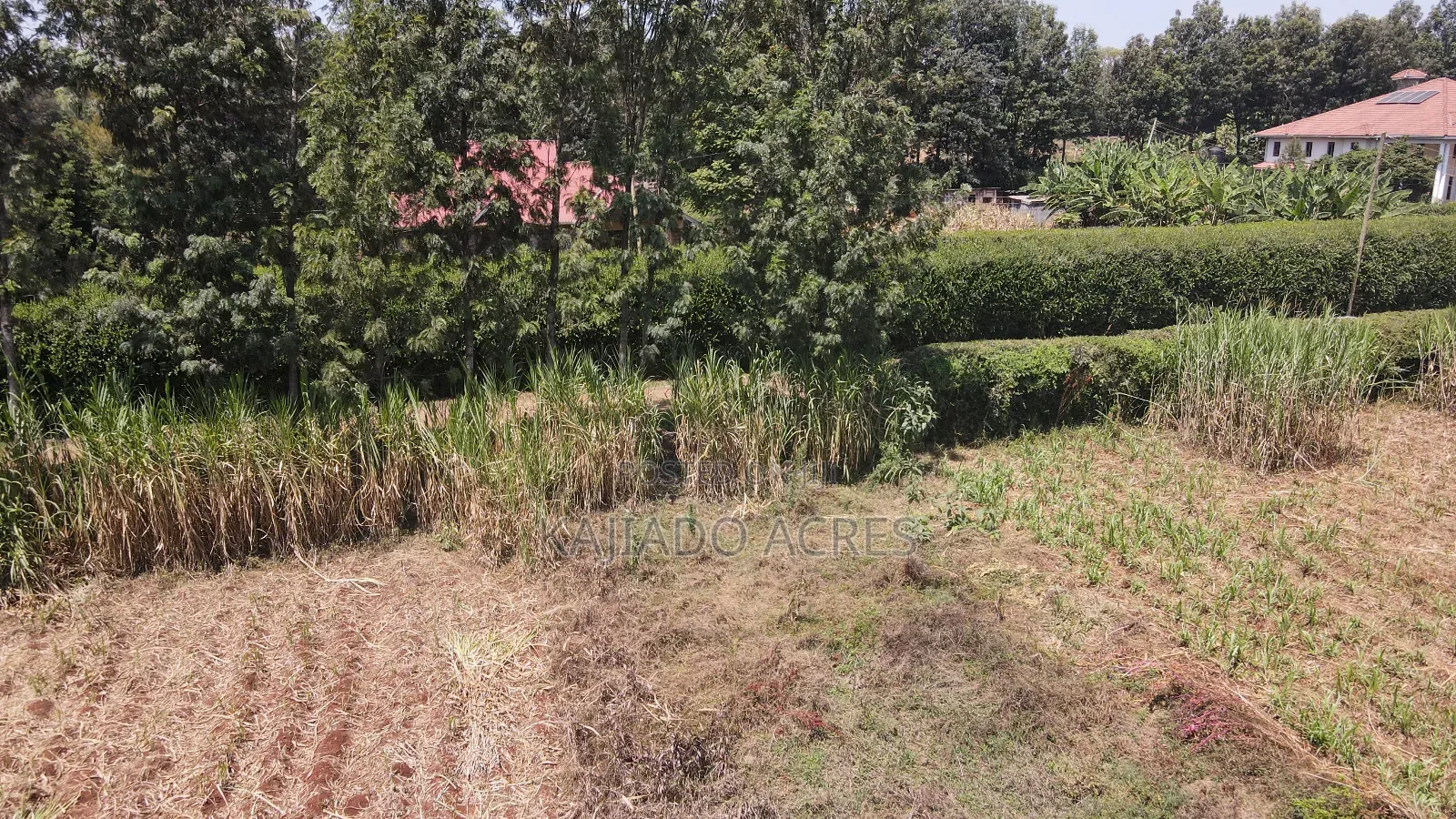 1.2 Acres Rhino Park at 78m