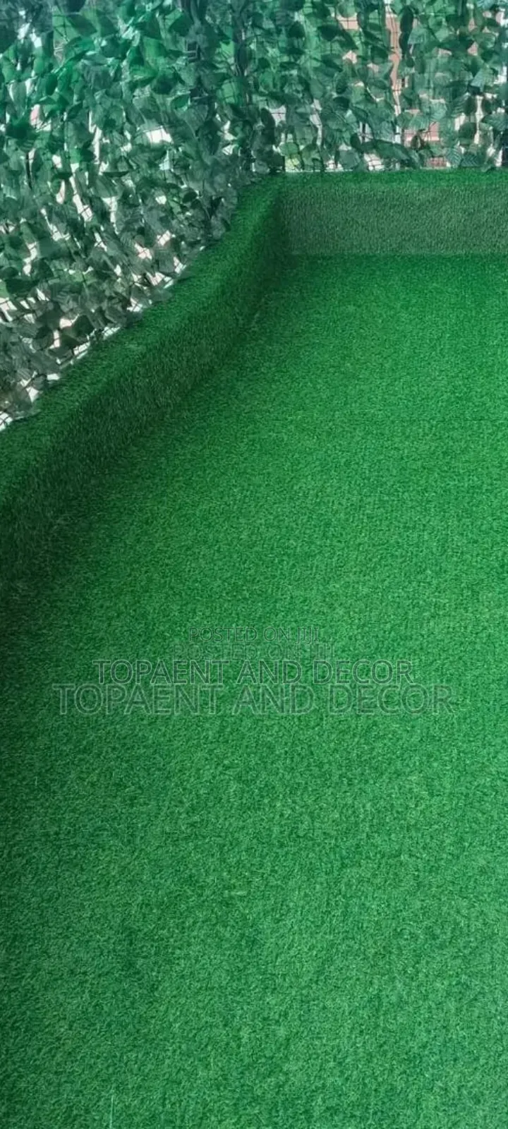 Low Maintenance Green Carpet For Outdoor Spaces