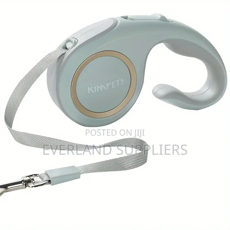 Modern Retractable Dog Leash