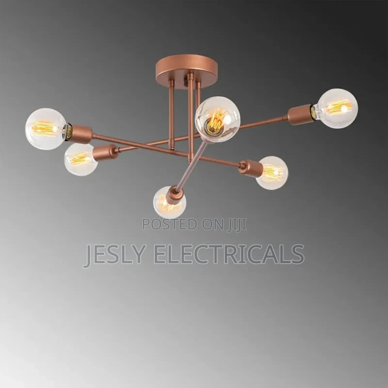 Ceiling Lamp "Makurdi" [Opv-521shn1131] | Greenice