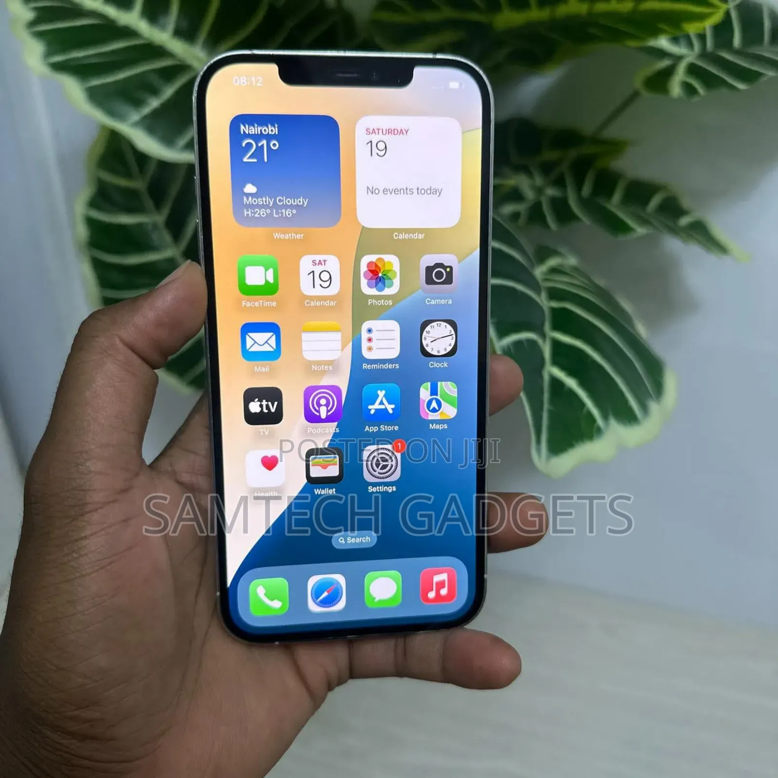 Apple iPhone 12 Pro Max 256 GB Gray