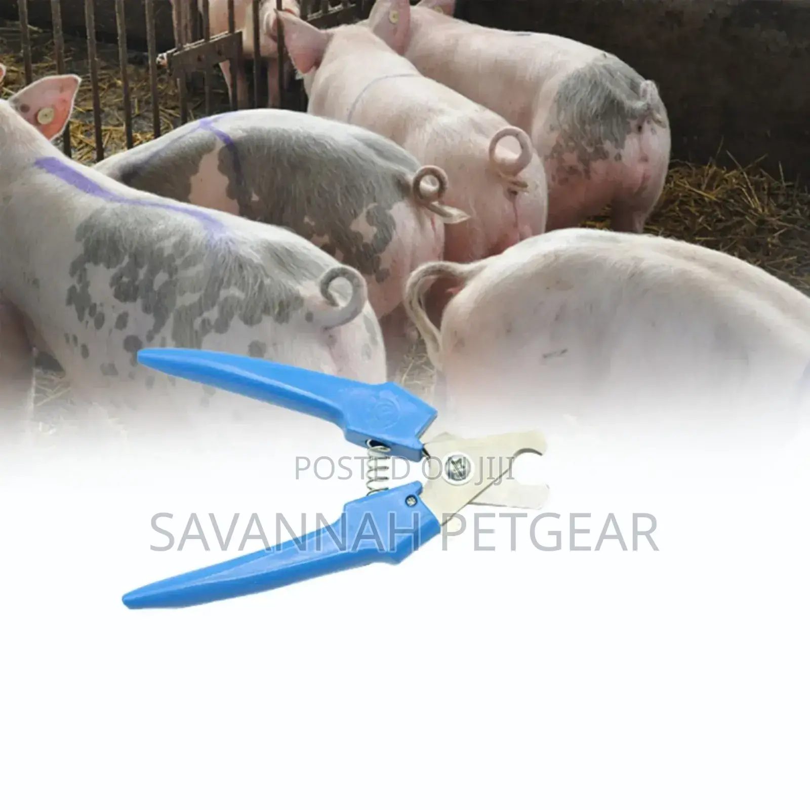 Stainless Steel Pig Docking Tool for Cutting Tails for Piglets - 2 PCS