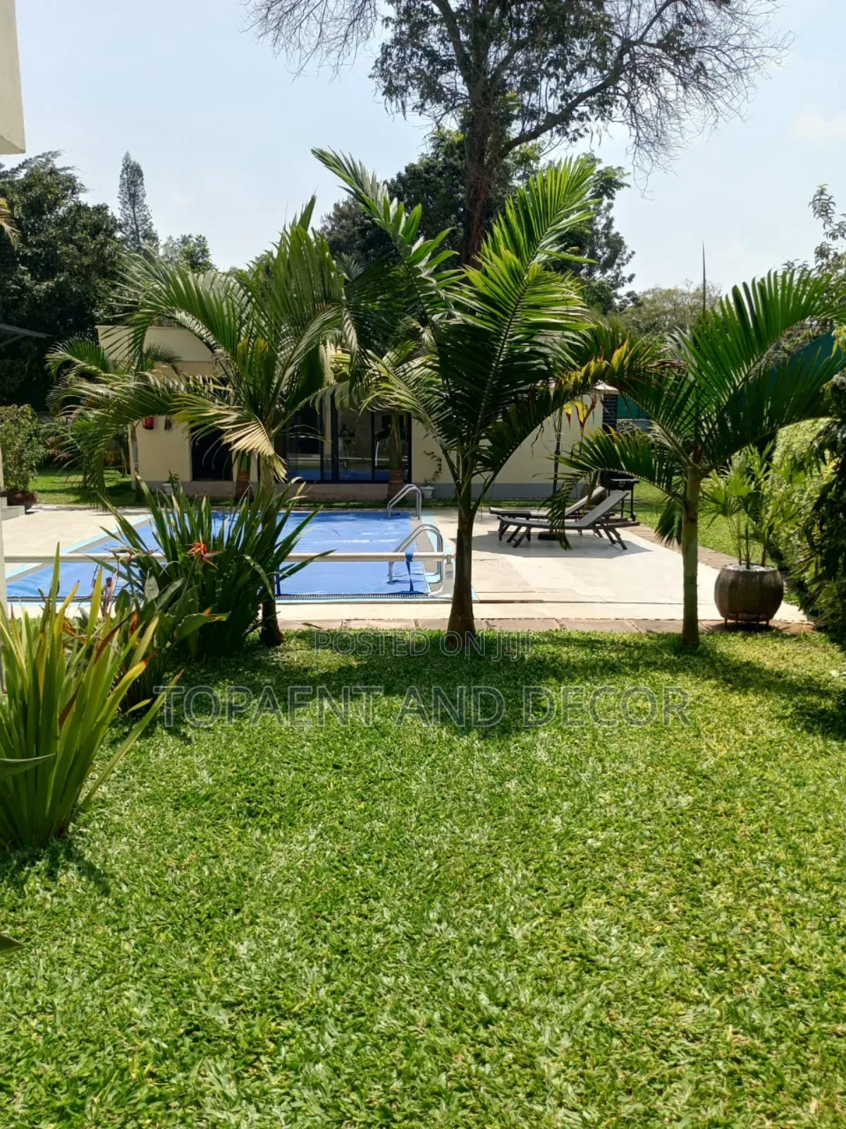 Outdoor Green Grass Carpet for Patios
