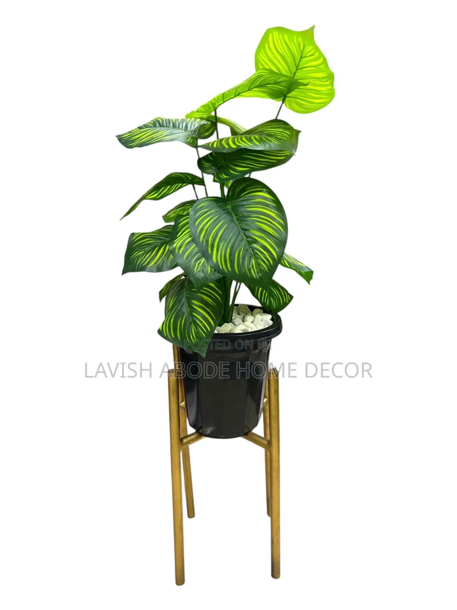 Artificial Zebra Plant, Black Flower Pot and Gold Metallic Stand