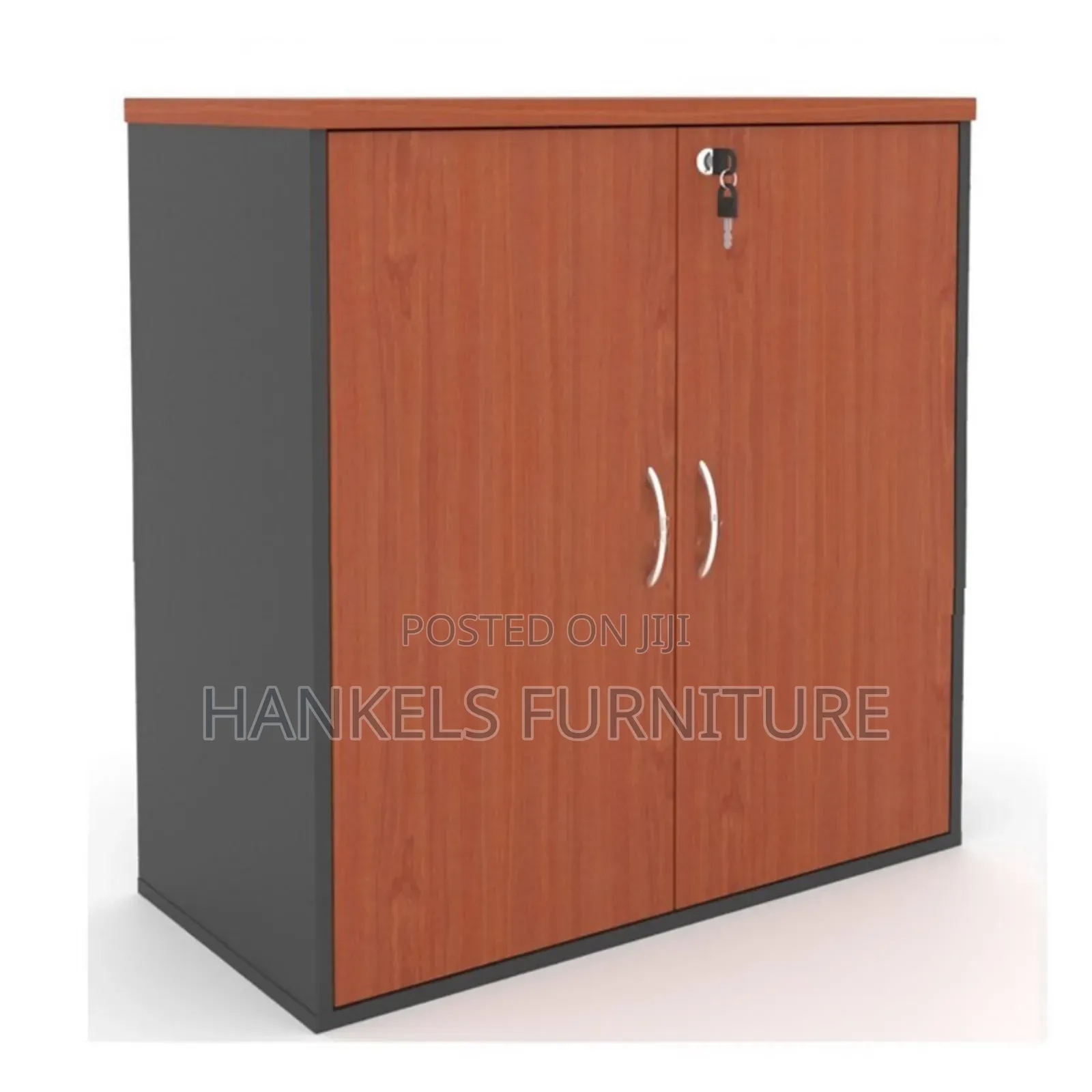 Filling Cabinet Swing Doors (76cm by 76cm)