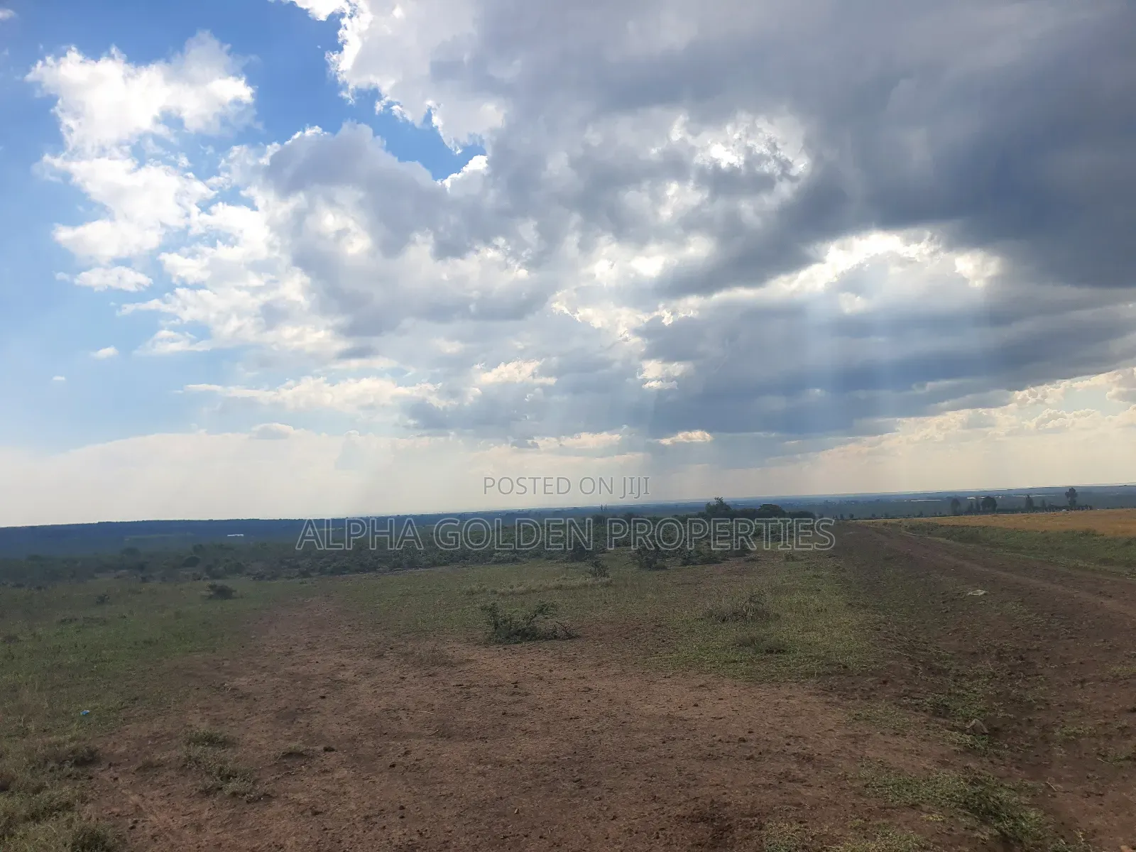 1 Acre in Daiga