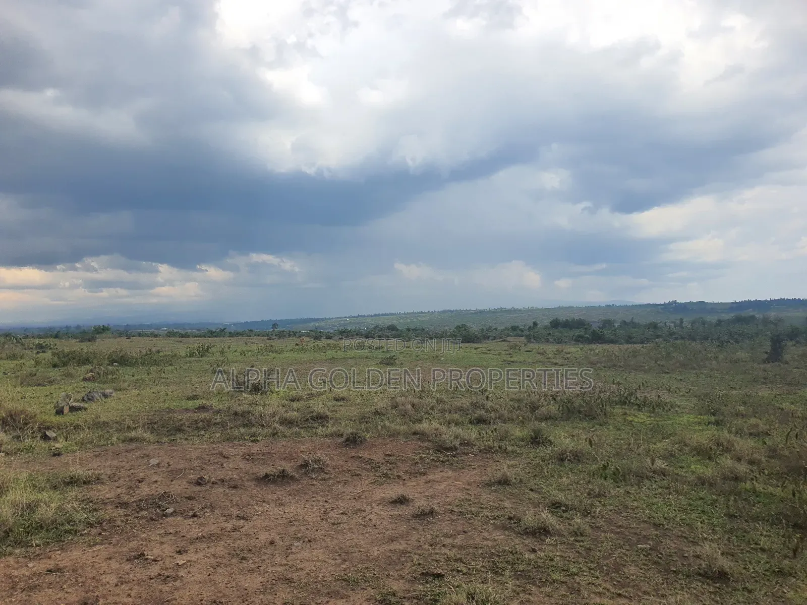 1 Acre in Daiga
