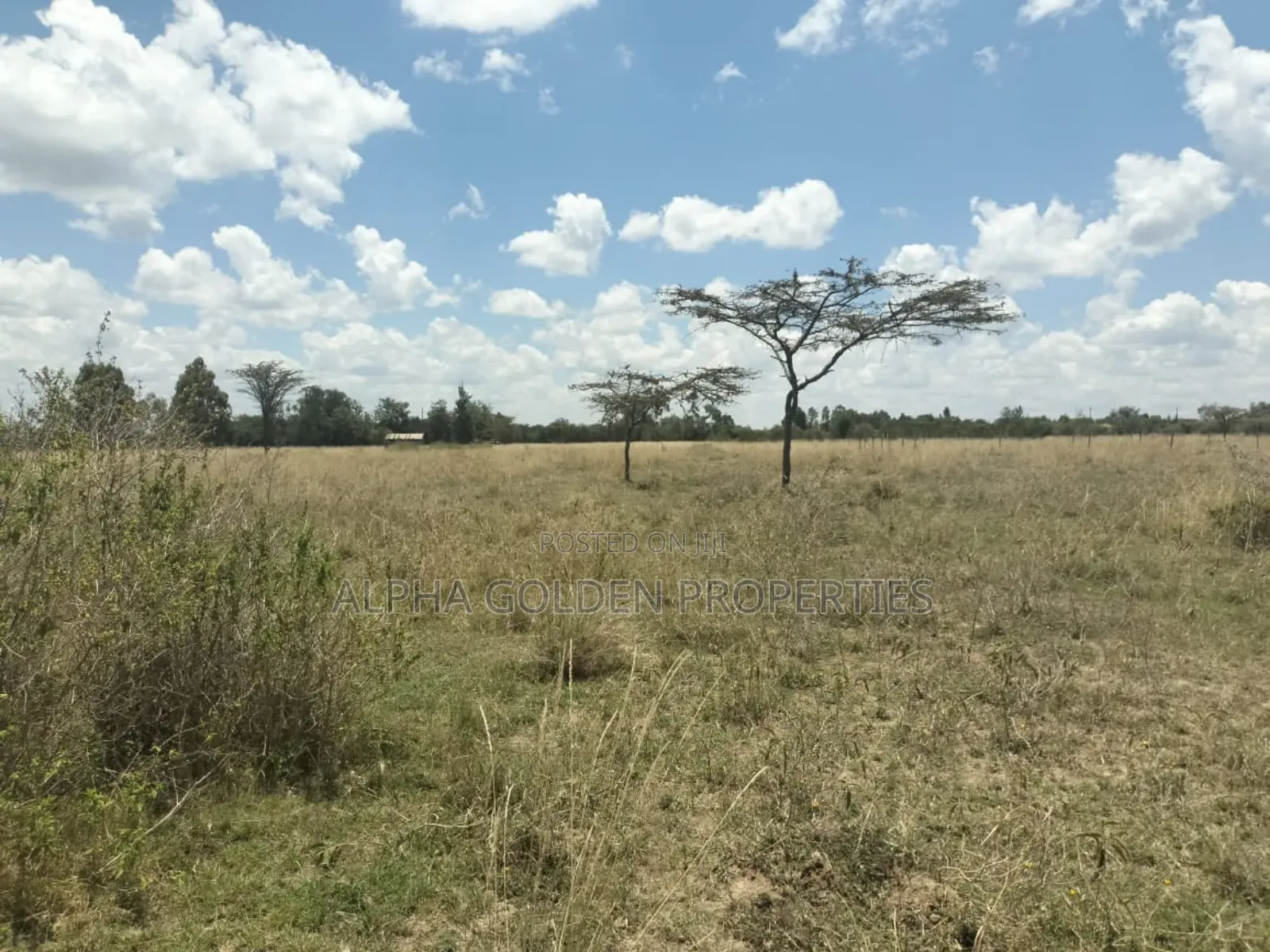 3.2 Acres in Sweetwaters