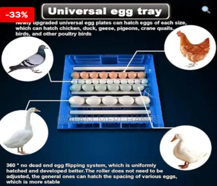 64-Eggs Automatic Egg Incubator Temperature Control Hatcher