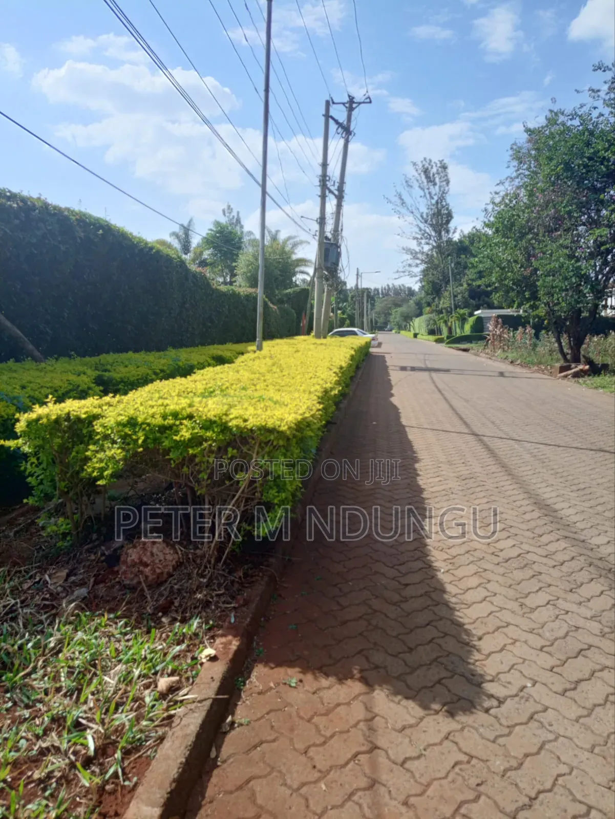 Ridgeways Prime Residential 1/2 Acre on Sale