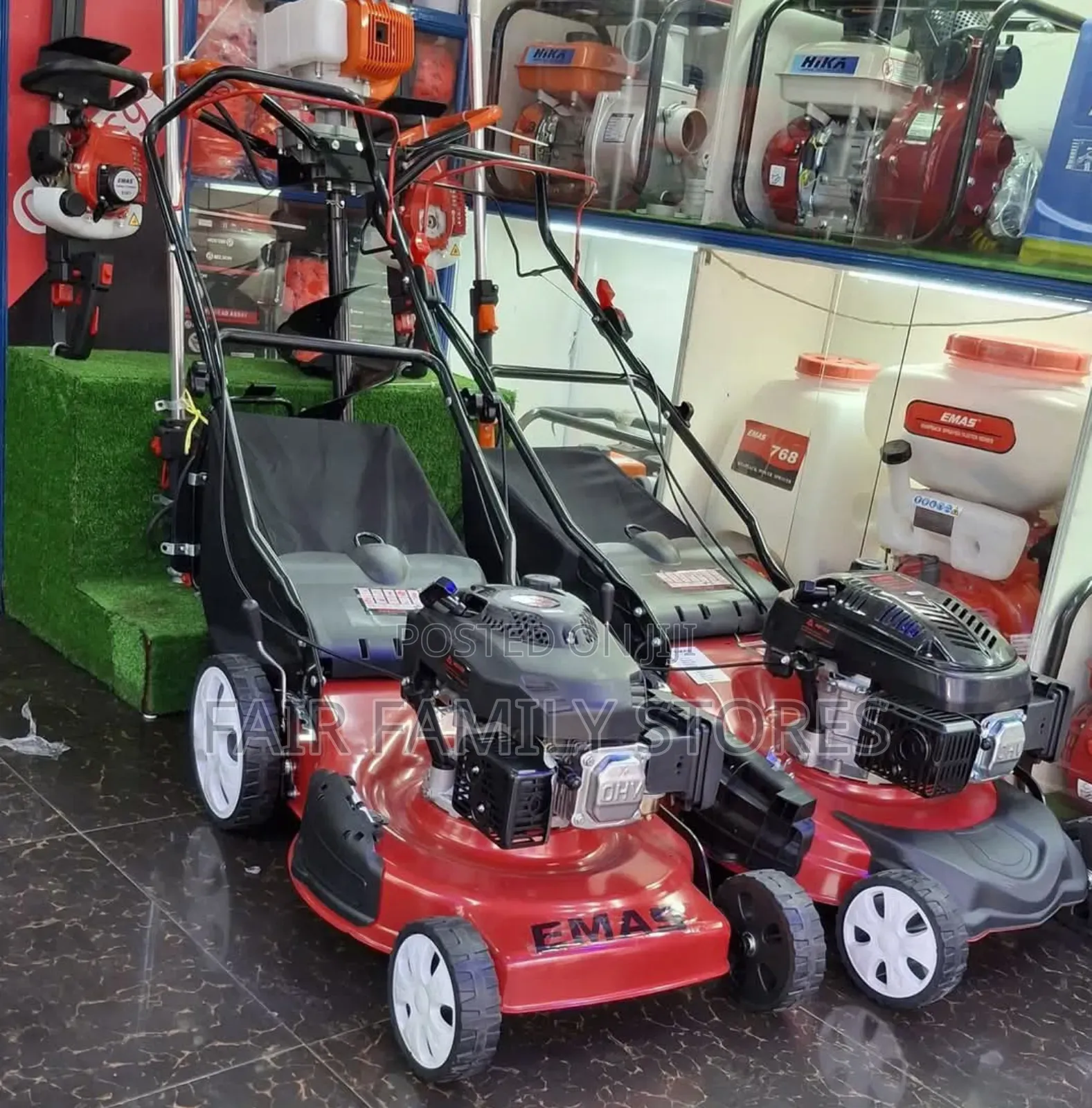 Emas Self-Propelled Lawnmower 5.5hp