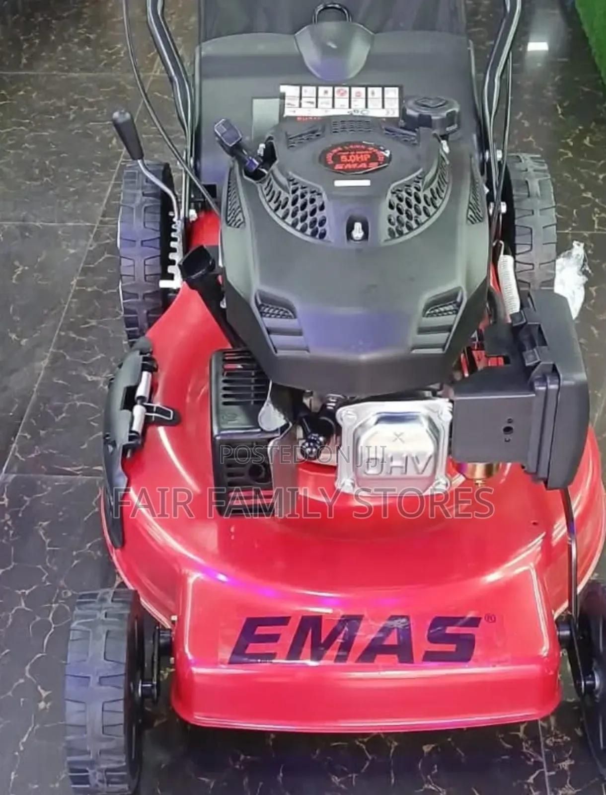 Emas Self-Propelled Lawnmower 5.5hp