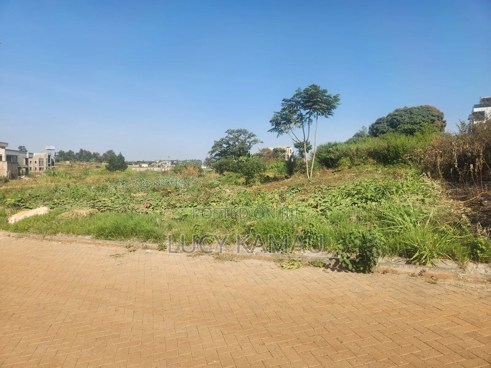 Prime Fully Serviced 1⁄4 Acre Gated Community Plots