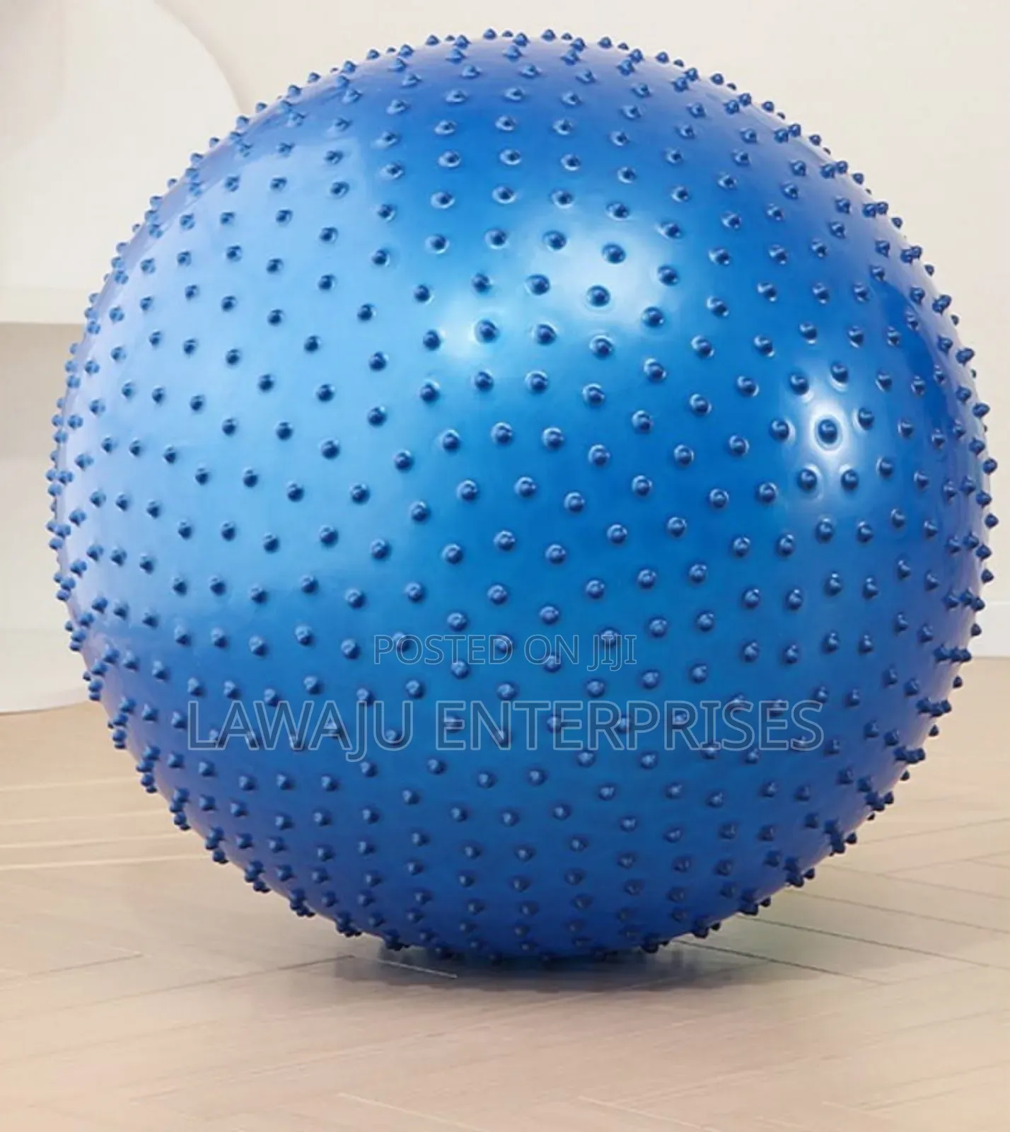 Spike Gym Ball