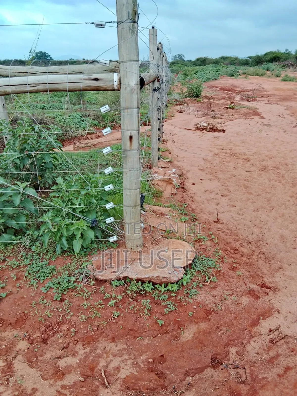 18 Acres in Taita Taveta,With Electric Fence,Water,Drip,Staff and More
