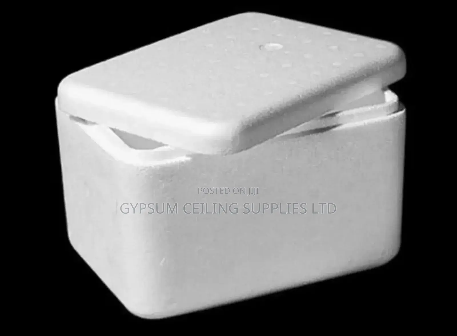 Styrofoam Box