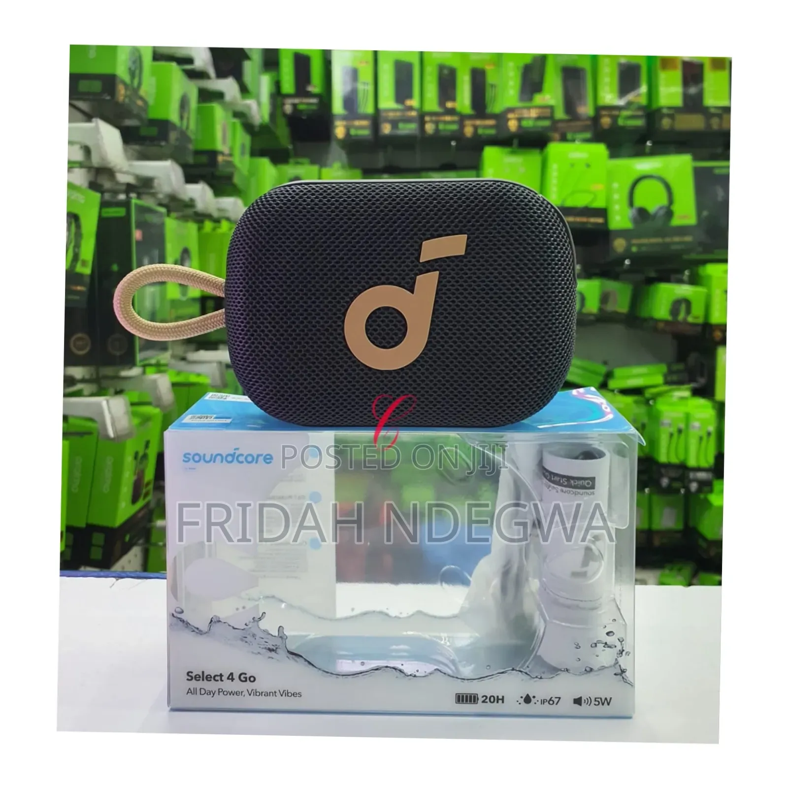 Soundcore Select 4 Go Bluetooth Speaker