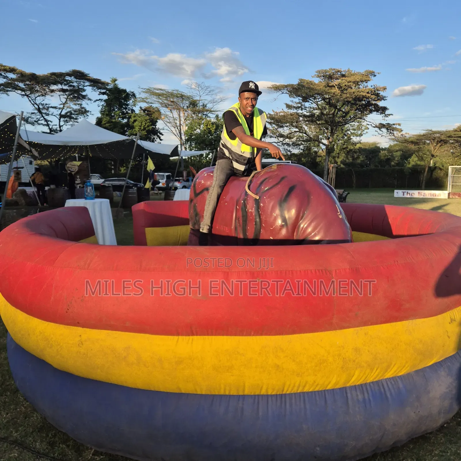 Rodeo Bull for Hire in Kenya