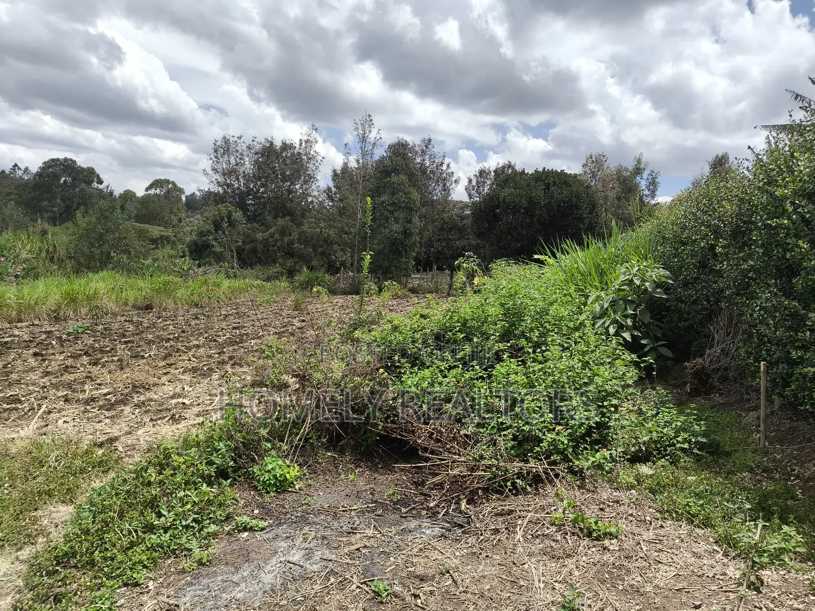 Residential Eighth Acre Plot in Ngong, Olkeri Near