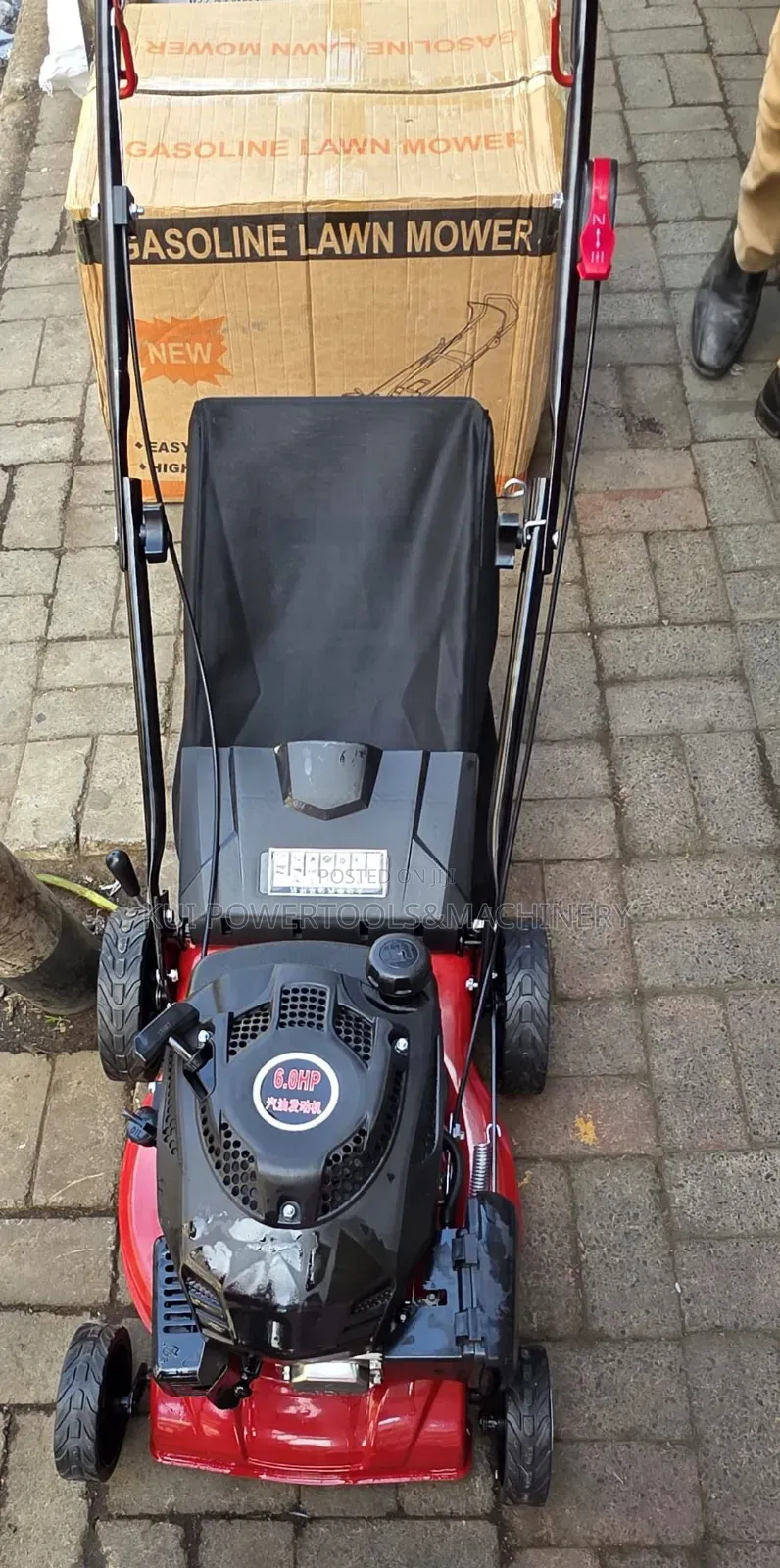 6hp Gasoline Lawn Mower/ 173cc Gasoline Lawn Mower