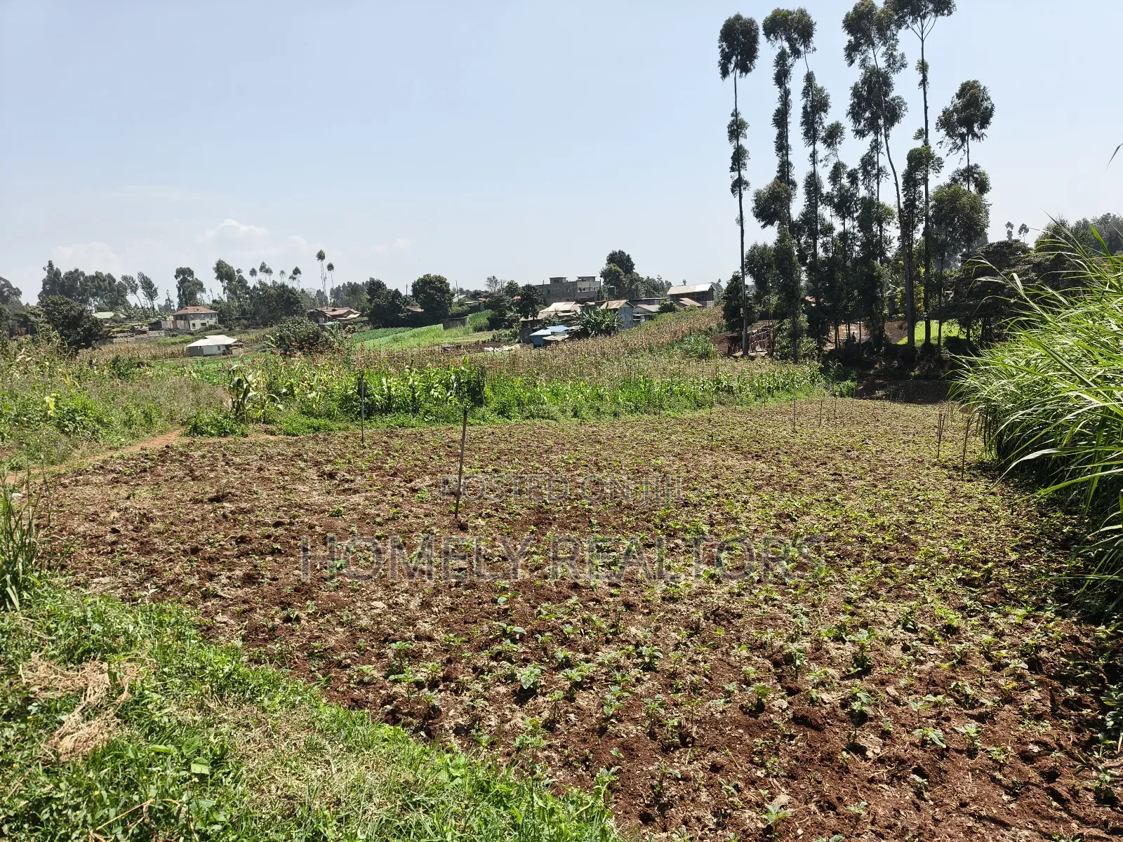 Quarter Acre Plot in Zambezi With Farming Water Connected