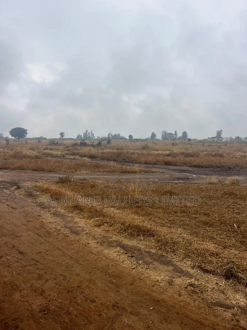1/8 Plots for Sale Opposite Mang'u High School