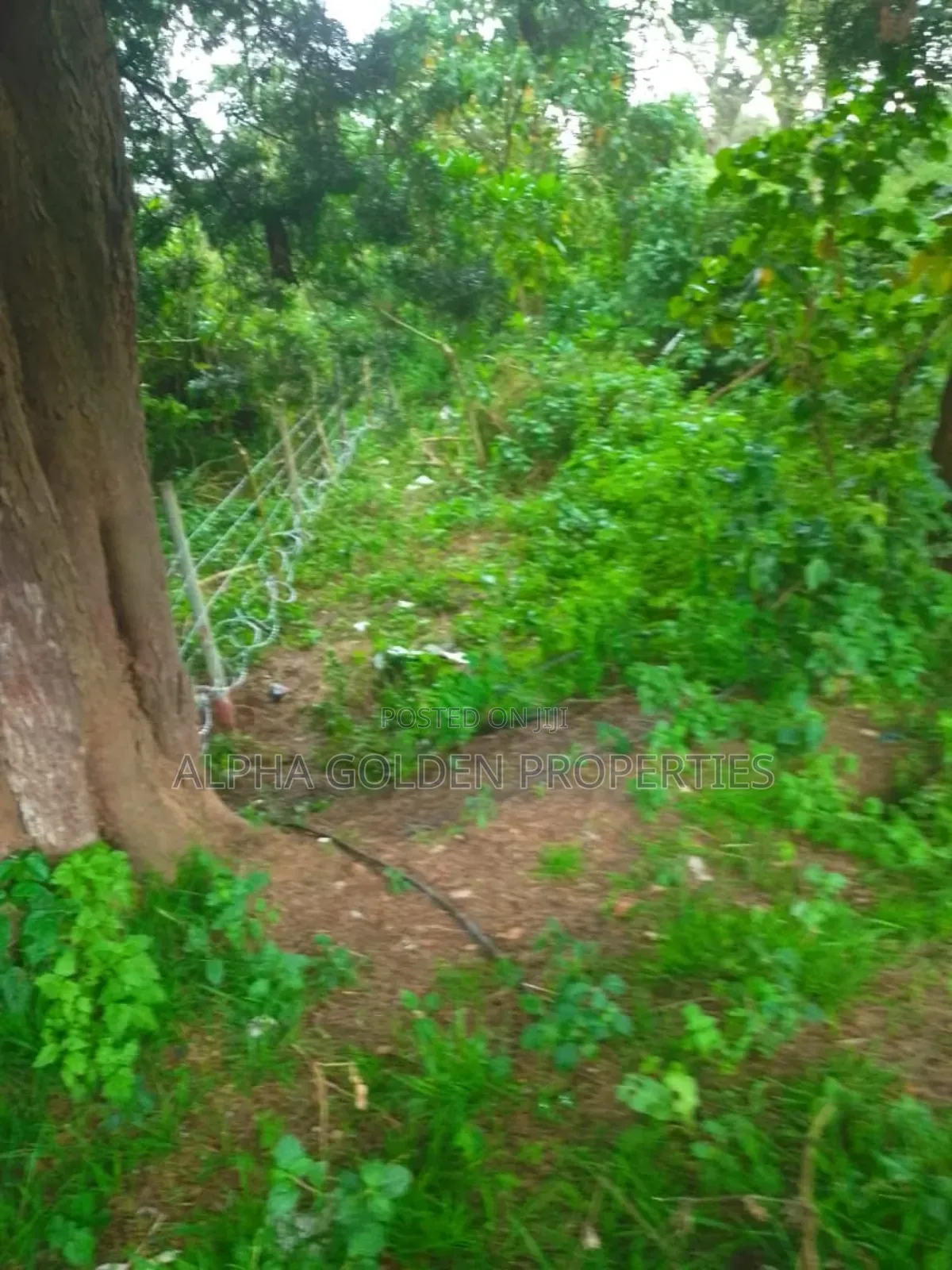 1 Acre in Muthaiga Nanyuki
