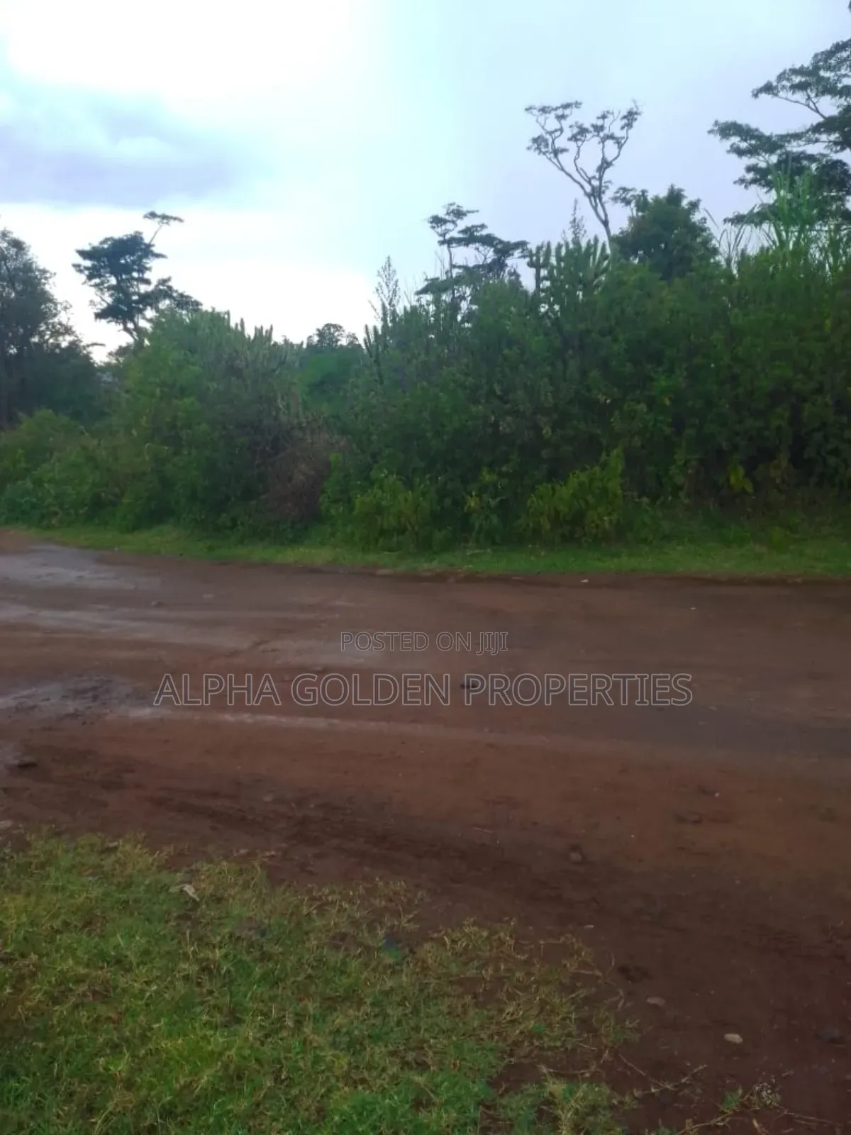 1 Acre in Muthaiga Nanyuki
