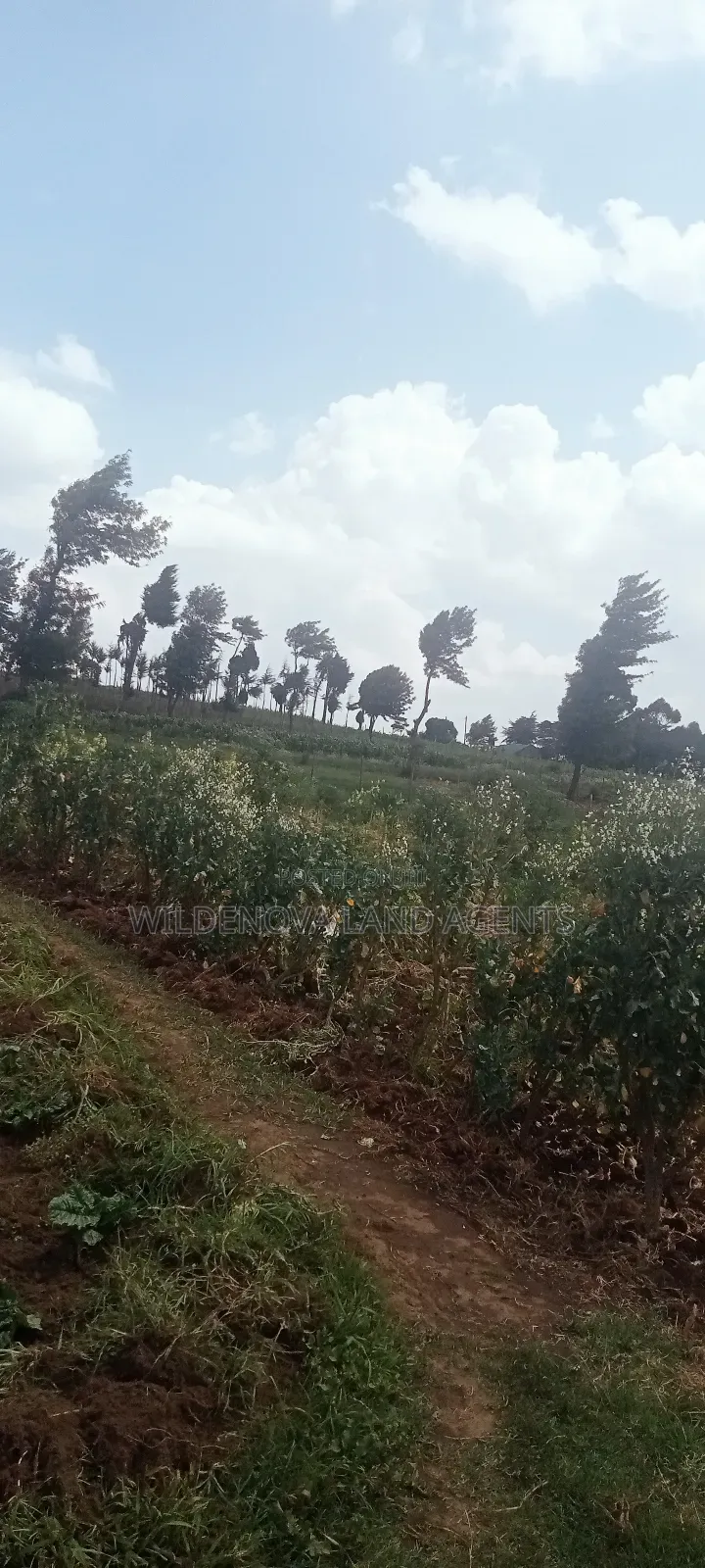 Land on Sale at View Point Flyover Nakuru County