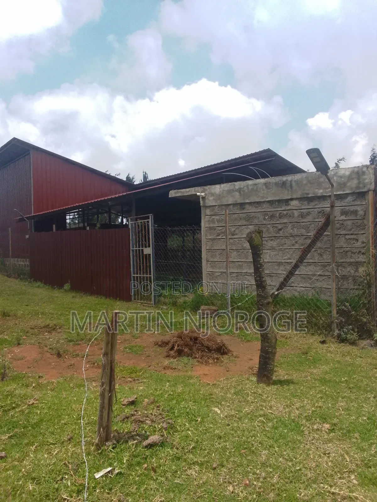Modern Cow Shed/ Farm Uplands